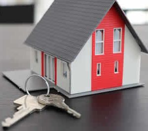 Real Estate Law - Agent