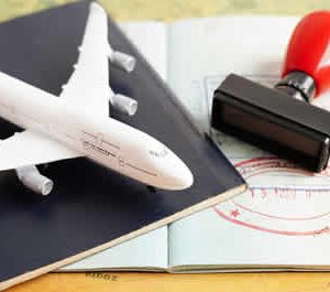 Immigration law - Expert